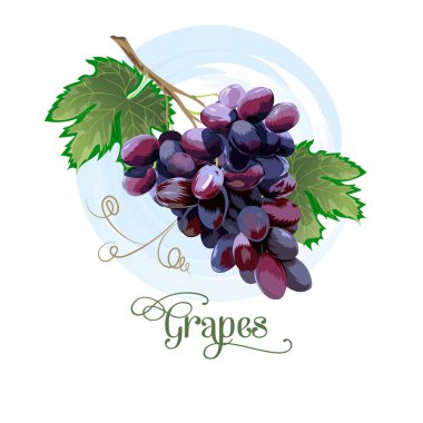 Taze üzüm mor demet