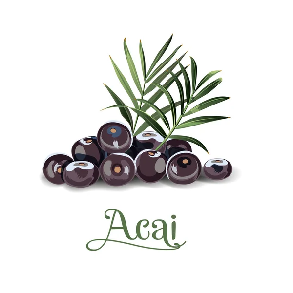 Bacche di Acai per labelli — Vettoriale Stock