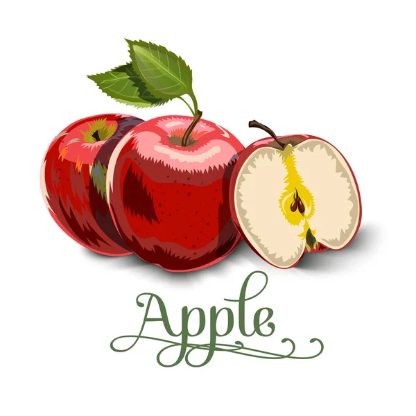 Manzanas rojas con hojas verdes y rodajas de manzana - Ilustración vectorial . — Vector de stock