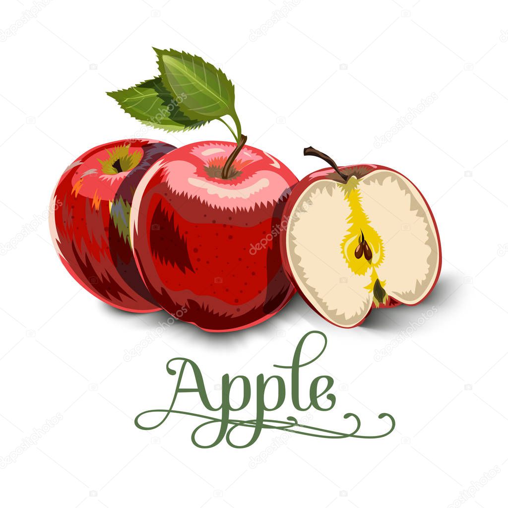 Red Apples with Green Leaves and Apple Slice - Vector Illustration.