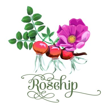 Kırmızı kuşburnu berry düz simgesi