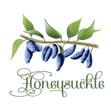 Honeysuckle berry sketch icon. Vector isolated symbol clipart