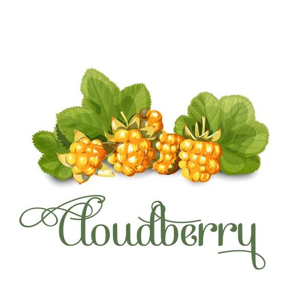 Parlak sulu cloudberry. Tatlı lezzetli tasarım basit karikatür tarzı için. Vektör çizim.