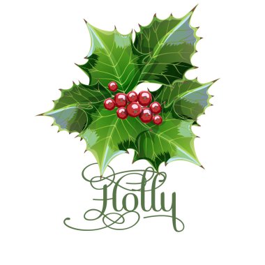 çilek ve holly bırakır ambalaj hediyeler için