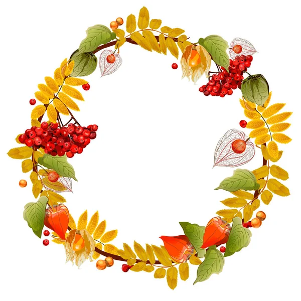 Couronne d'automne de physalis et de frêne de montagne. Image isolée . — Image vectorielle