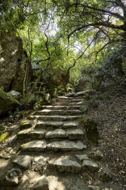 Vorontsov Palace yanında Kırım '