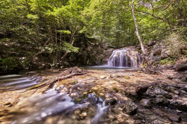 Kırım Dağları'nda yaz ormandaki güzel şelale