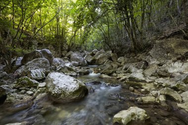 Kırım Dağları'nda yaz ormandaki güzel şelale