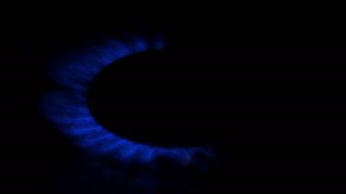 Doğalgaz yakıcı bir gaz sobası.