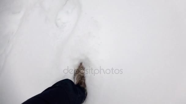 Hombre caminando en el parque de invierno nevado — Vídeos de Stock