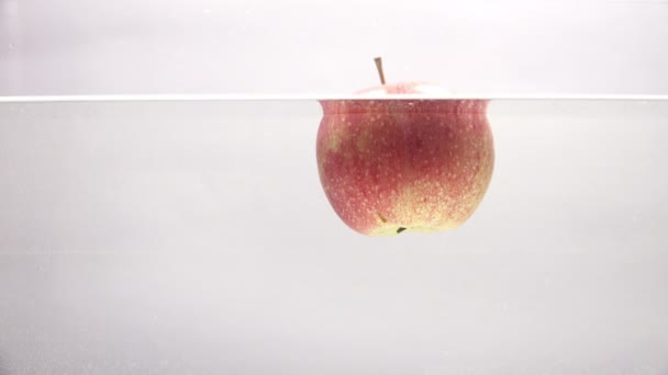 Roter Apfel fällt ins Wasser. — Stockvideo