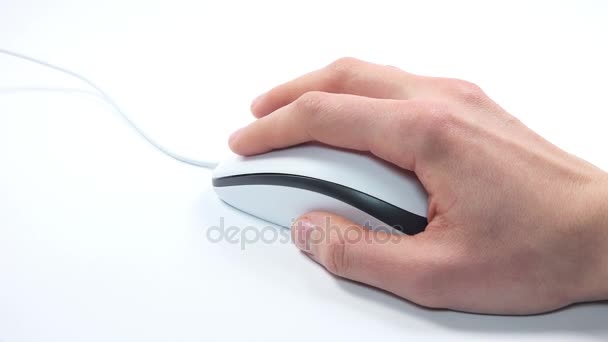 Female Hand Using a Computer Mouse — Stock Video