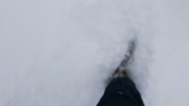 Karlı kış Park veya ormanında yürüyen adam