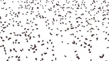 Dünya Haritası birçok kahve çekirdekleri yapılan.