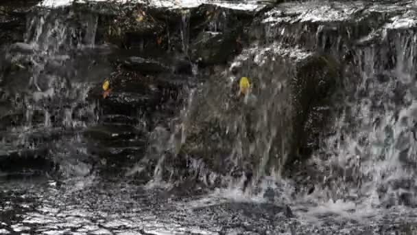 Vattenfall i slow motion — Stockvideo