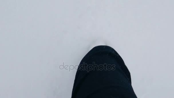Hombre caminando en el parque de invierno nevado o bosque — Vídeos de Stock