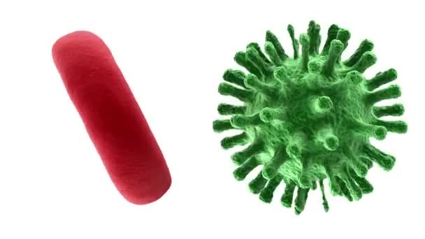 Rotation roter Blutkörperchen und Viren. — Stockvideo