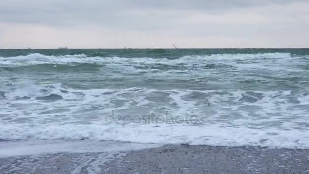 Stormachtige zee golven op het strand. — Stockvideo