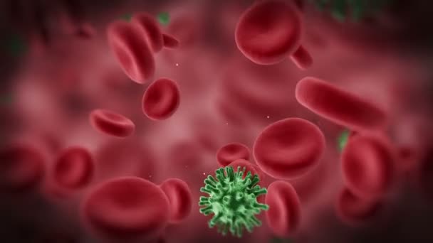 红色的血液细胞和病毒 — 图库视频影像