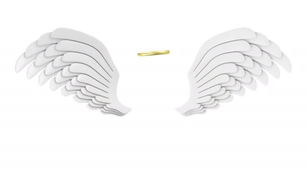 4K Animation of Flying Angel White Wings — Stock Video