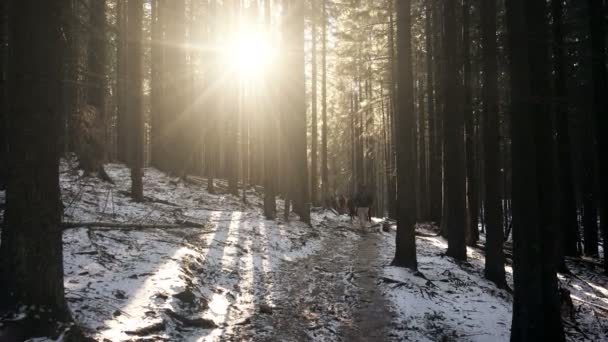 Groep mensen wandelen naar de berg — Stockvideo