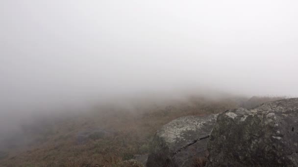 Vloeiende mist in Bergen. — Stockvideo