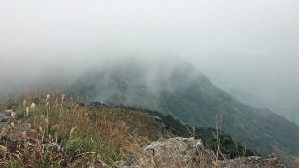 Przepływające mgła w górach. — Wideo stockowe