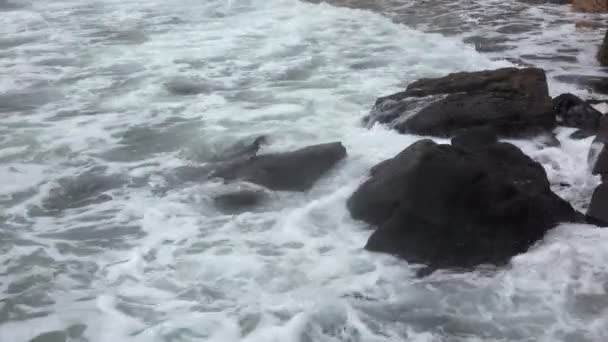 Ondas de mar tormentosas — Vídeos de Stock