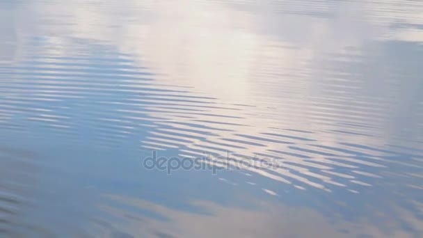 Nuages réfléchissent sur l'eau ondulante . — Video