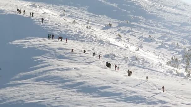 Le persone che scalano la montagna in inverno — Video Stock