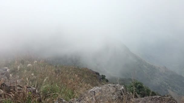 Niebla que fluye en las montañas . — Vídeos de Stock