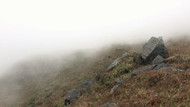 Ρέει ομίχλη στα βουνά. — Αρχείο Βίντεο