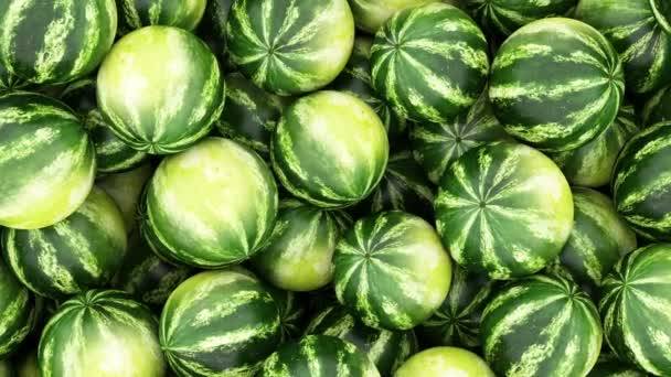 Watermelons Abstract Background — Stock Video