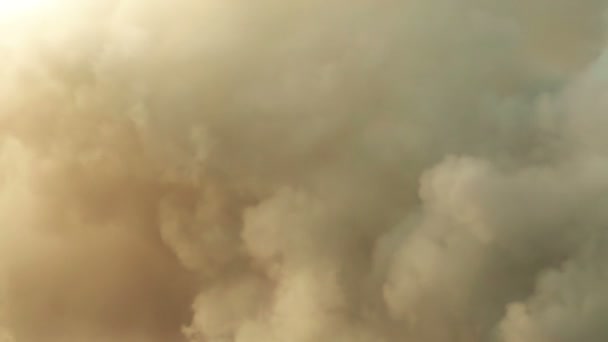 Widok zbliżenie na toksycznej chmury dymu — Wideo stockowe