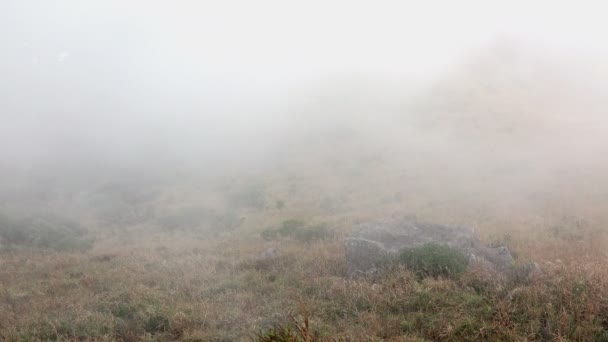 Nebbia che scorre nelle montagne . — Video Stock