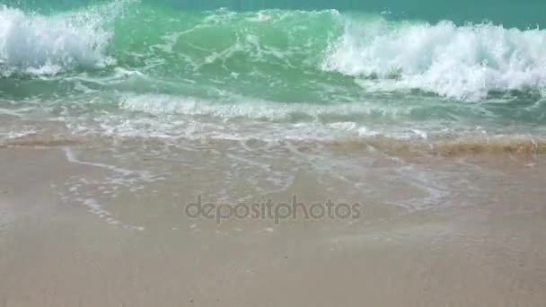 Onde marine tropicali della spiaggia 4K . — Video Stock