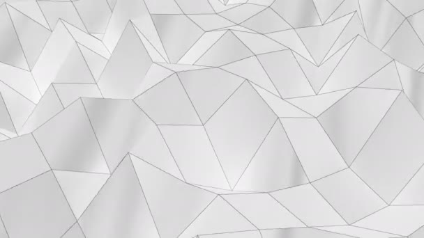 Abstract White Fractal Geometric — Stock Video