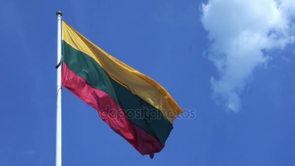 Крупный план Вид на национальный флаг Литвы — стоковое видео