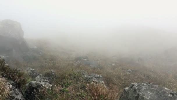 Vloeiende mist in Bergen. — Stockvideo