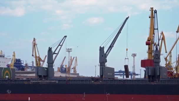 Porto do mar 4K com guindastes de carga — Vídeo de Stock