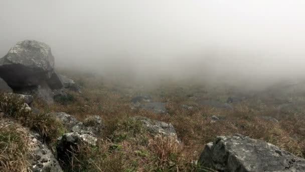 Fließender Nebel in den Bergen. — Stockvideo