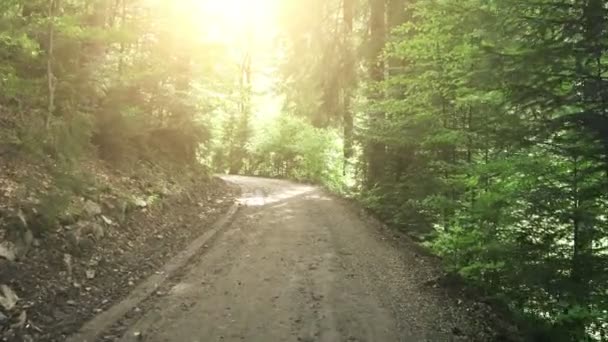 4 k onverharde weg door bos — Stockvideo