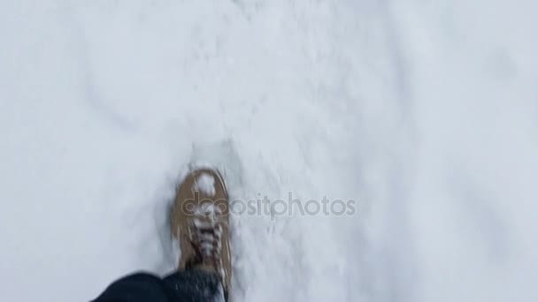 Man Walking in Snowy Winter Park of bos — Stockvideo