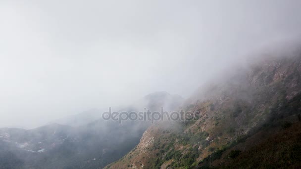 Flödande dimma i bergen. — Stockvideo