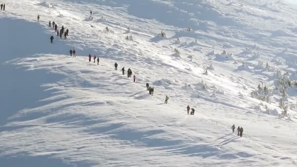 Le persone che scalano la montagna in inverno . — Video Stock