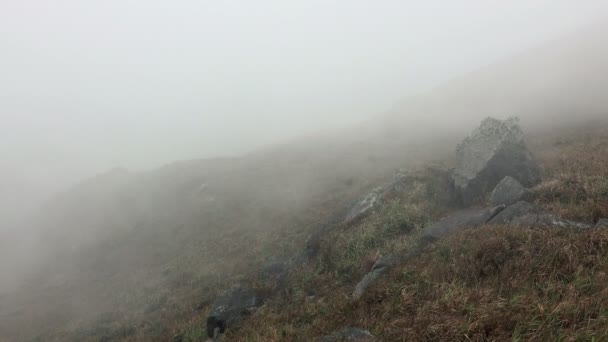 Тече туман в горах. — стокове відео