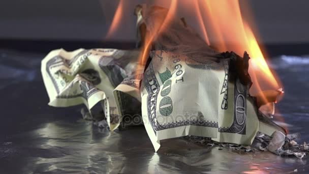 Dinero en cámara lenta en el fuego — Vídeo de stock