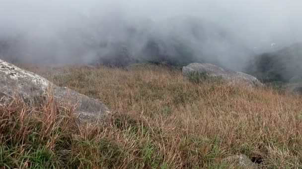 Nevoeiro de fluxo nas montanhas . — Vídeo de Stock