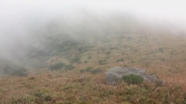 Tekoucí mlha v horách. — Stock video
