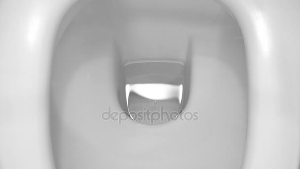 Close-up beeld van Flushing een Toilet. — Stockvideo